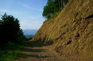 ���̐ؒʂ��Ȃ���ƁE�E�E��