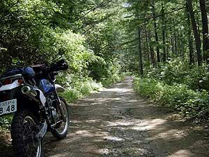 �������o�X�ʂ�H�@��z�ѓ�