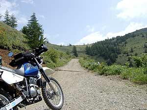 ������o�肫��Ɣ������q��