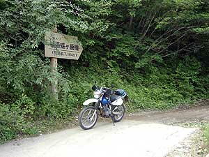 ���Γ����ɂ͂���ȗ��h�ȊŔ�