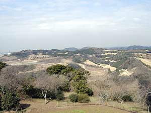 �_�[�g�炵�����̂������܂���