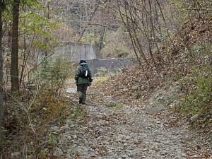 ���h�_���̉��֓��͑����E�E�E