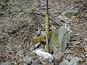 ���ꂪ�Ȃ���΂������ƈ����Ԃ��Ă�������