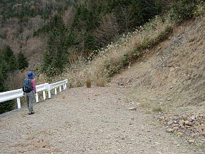 �͂��H�ǂ�����Ⴂ���́H