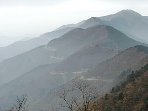 �������ޑ喼�I�ѓ�