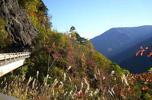 �X�X�L�����ՂȊێR�ѓ�