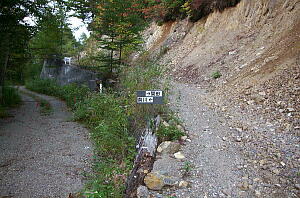 �ސ쑺���͂��r��Ă���