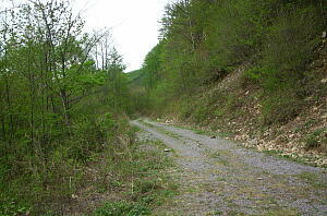 �R�؂P�����@���K�_�[�g