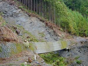 ���ꗎ���������