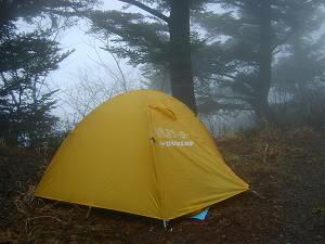 ���̊Ԃɂ�������̓K�X����