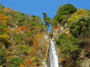 ���_�̑�@���h�ł�