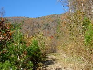 ���͓���ѓ��x���̏���ѓ�