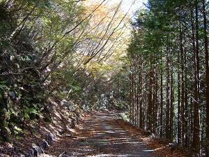 ���͓���ѓ��{���@�t���b�g