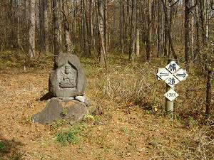 ���c�_����1