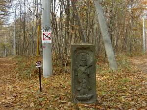 ���c�_����2