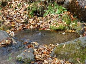 ���ꂪ�O����N��