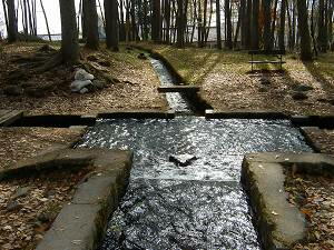 ���ꂪ���O�̗R���E�E�E�O��������Ă���H