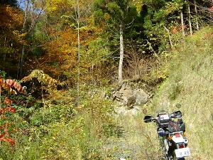 ����c�ѓ��x���̍s���~�܂�