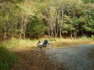 �ԉ��ѓ��������c�֌������r���̕���