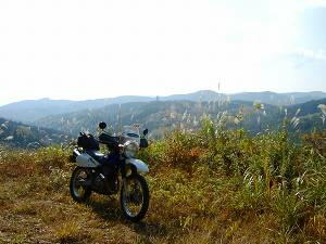 ����c�ѓ��@�r���̒���