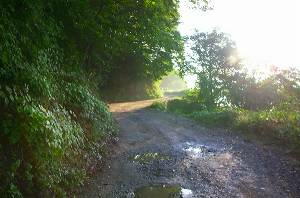 �O���̉J�łʂ�Ă���얓�ѓ�