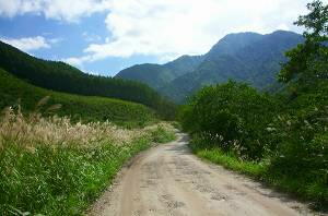 �����X�ѓ��O���@���t���b�g