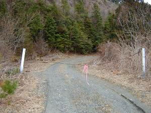 ���̉����炩����