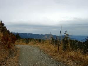 ���̂����蒭�ߗǂ�