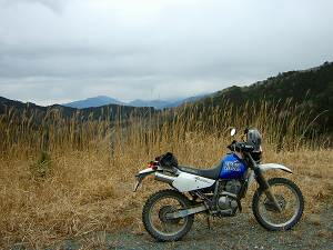 ���H�̍s���~�܂�̂ЂƂ@��c�ɂ悳�����H