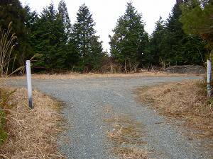 �܂������ɖ߂��Ă��܂��Ƃ́E�E�E