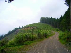 ���x�����蒭�߂͗ǂ�